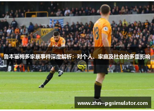 鲁本塞梅多家暴事件深度解析:对个人、家庭及社会的多重影响 鲁本塞梅多家暴事件深度解析:对个人、家庭及社会的多重影响
